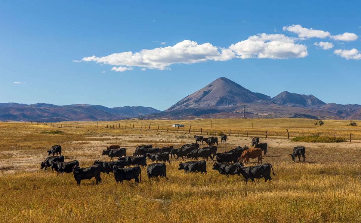 Rural countryside with farm fields, pasture, and open ranch land